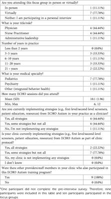 Using normalization process theory to inform practice: evaluation of a virtual autism training for clinicians